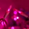 200 Pink LED Christmas Lights with Pink Wire, Pack of 2 Sets 33 ft 100 Count UL Certified Commercial Grade String Light (Pink)